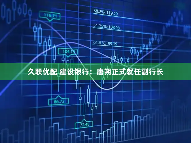 久联优配 建设银行：唐朔正式就任副行长