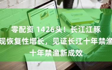 零配资 1426头！长江江豚数量实现恢复性增长，见证长江十年禁渔新成效