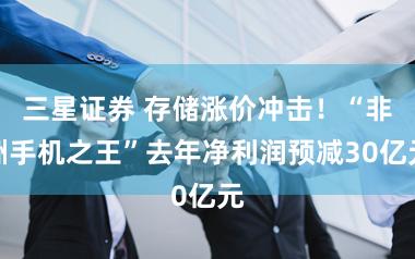 三星证券 存储涨价冲击！“非洲手机之王”去年净利润预减30亿元