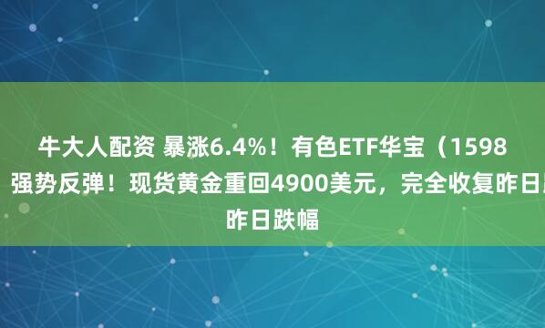 牛大人配资 暴涨6.4%！有色ETF华宝（159876）强势反弹！现货黄金重回4900美元，完全收复昨日跌幅
