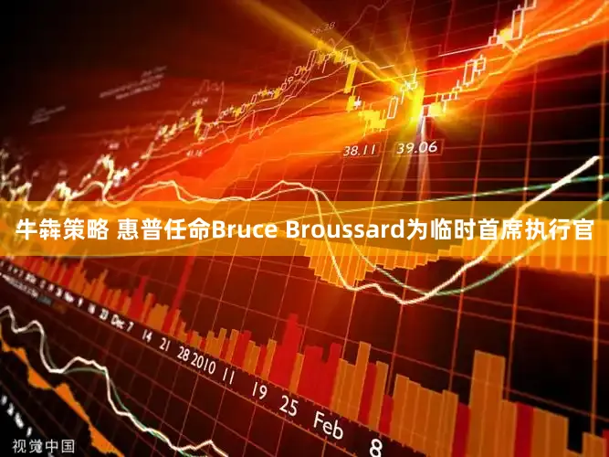 牛犇策略 惠普任命Bruce Broussard为临时首席执行官