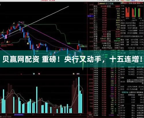 贝赢网配资 重磅！央行又动手，十五连增！