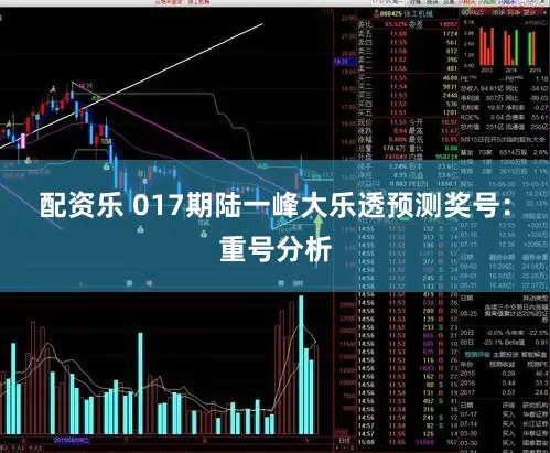 配资乐 017期陆一峰大乐透预测奖号：重号分析
