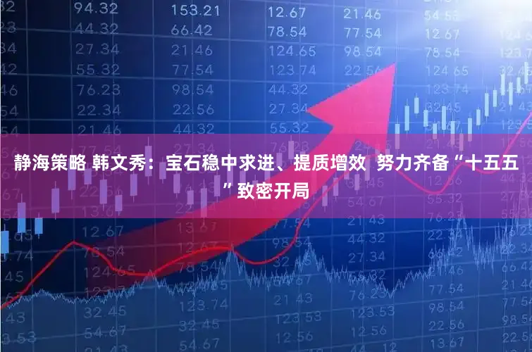 静海策略 韩文秀：宝石稳中求进、提质增效  努力齐备“十五五”致密开局