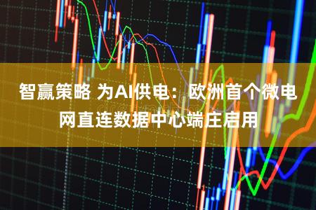 智赢策略 为AI供电：欧洲首个微电网直连数据中心端庄启用