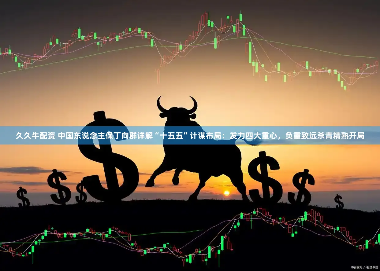 久久牛配资 中国东说念主保丁向群详解“十五五”计谋布局:发力四大重心,负重致远杀青精熟开局