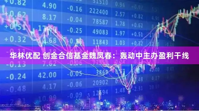 华林优配 创金合信基金魏凤春：轰动中主办盈利干线