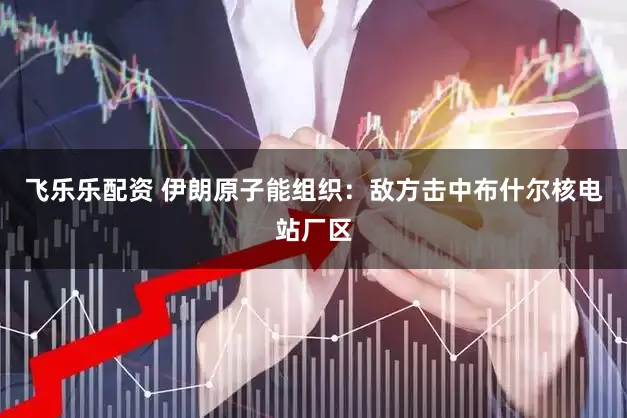 飞乐乐配资 伊朗原子能组织：敌方击中布什尔核电站厂区