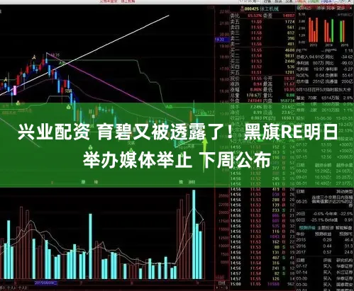 兴业配资 育碧又被透露了！黑旗RE明日举办媒体举止 下周公布
